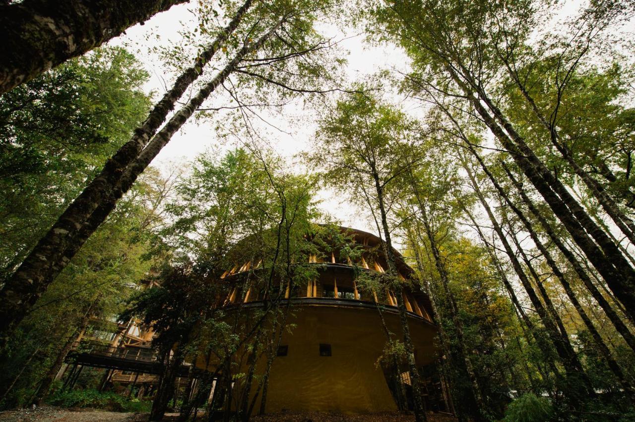 Huilo Huilo Reino Fungi Villa Puerto Fuy Exterior photo